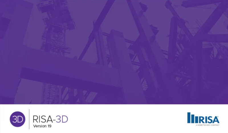 RISA-3D 19.01 一机一码注册版英文工程结构设计RISA3D19.01软件三维设计和分析软件011378