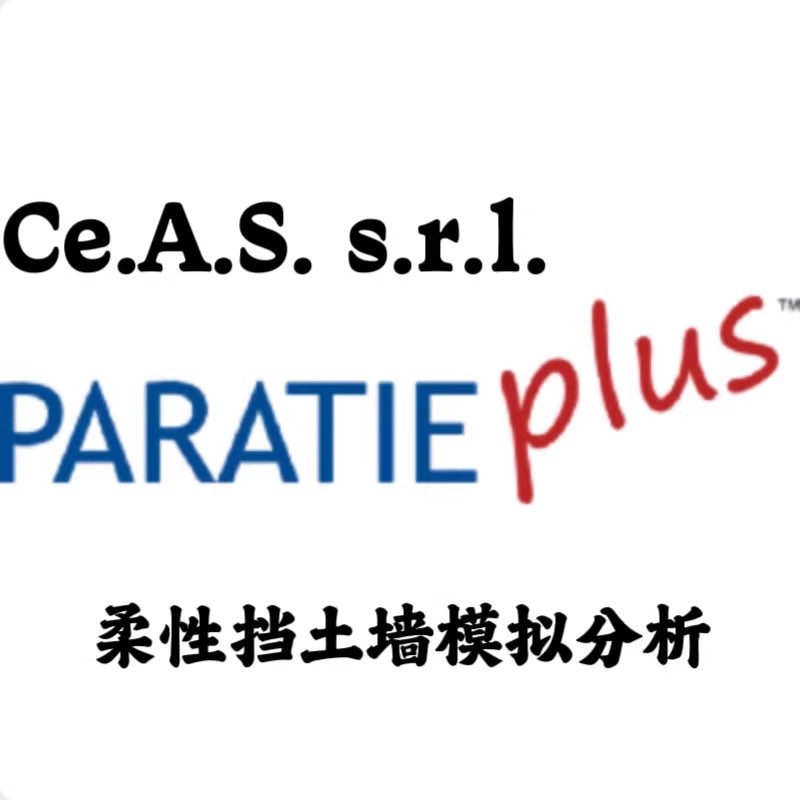 Ce.A.S. s.r.l. ParatiePlus v20.0.0 激活版柔性挡土墙模拟分析工具011391