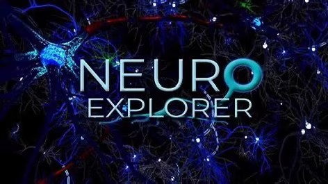 NeuroExplorer 5.035 加密狗版神经生理学数据分析演示软件 V5全功能永久使用 060577